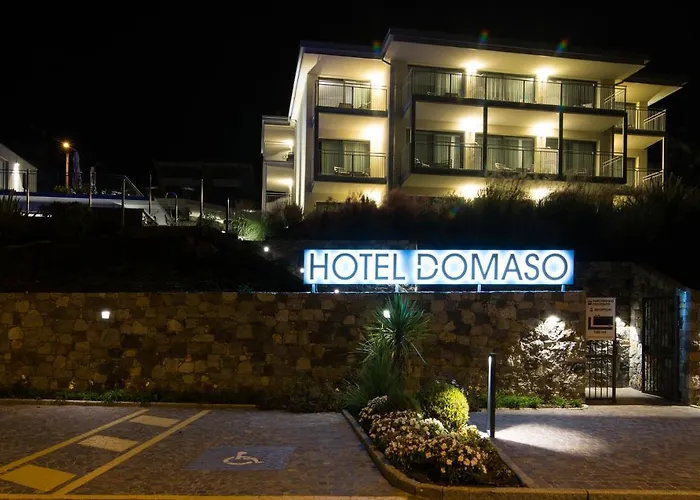 酒店 Hotel Domaso 多马索